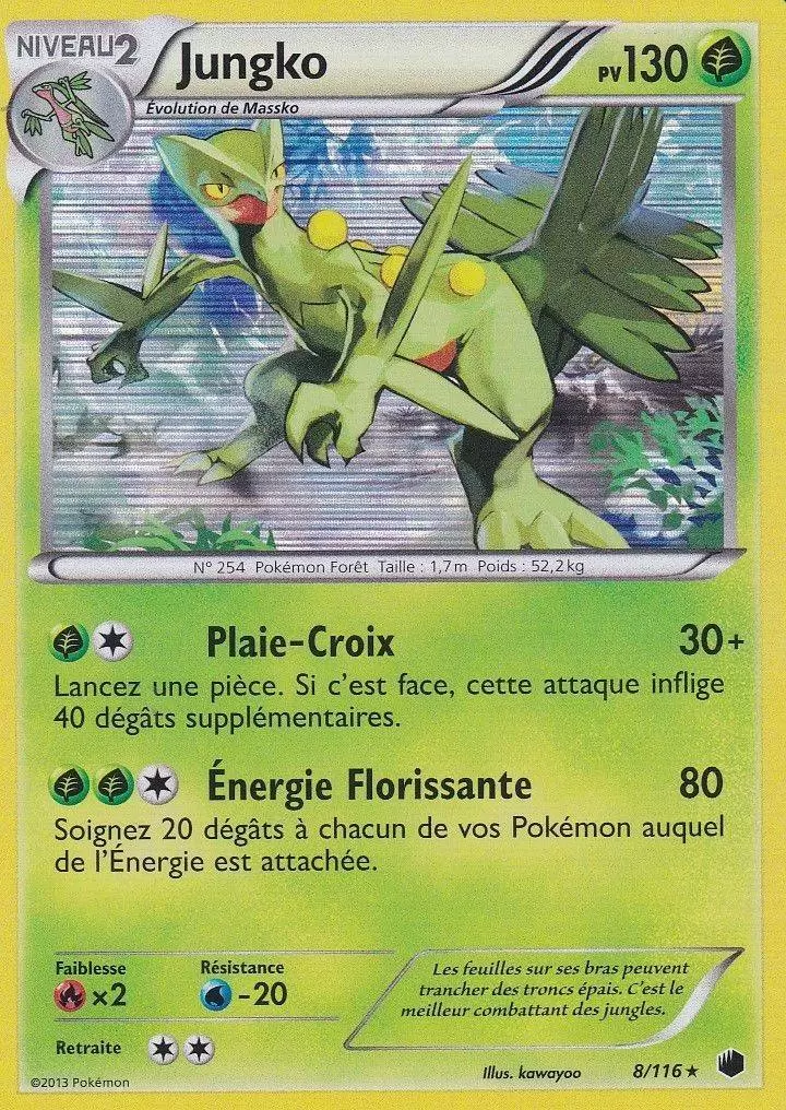 Glaciation Plasma - Jungko Holographique