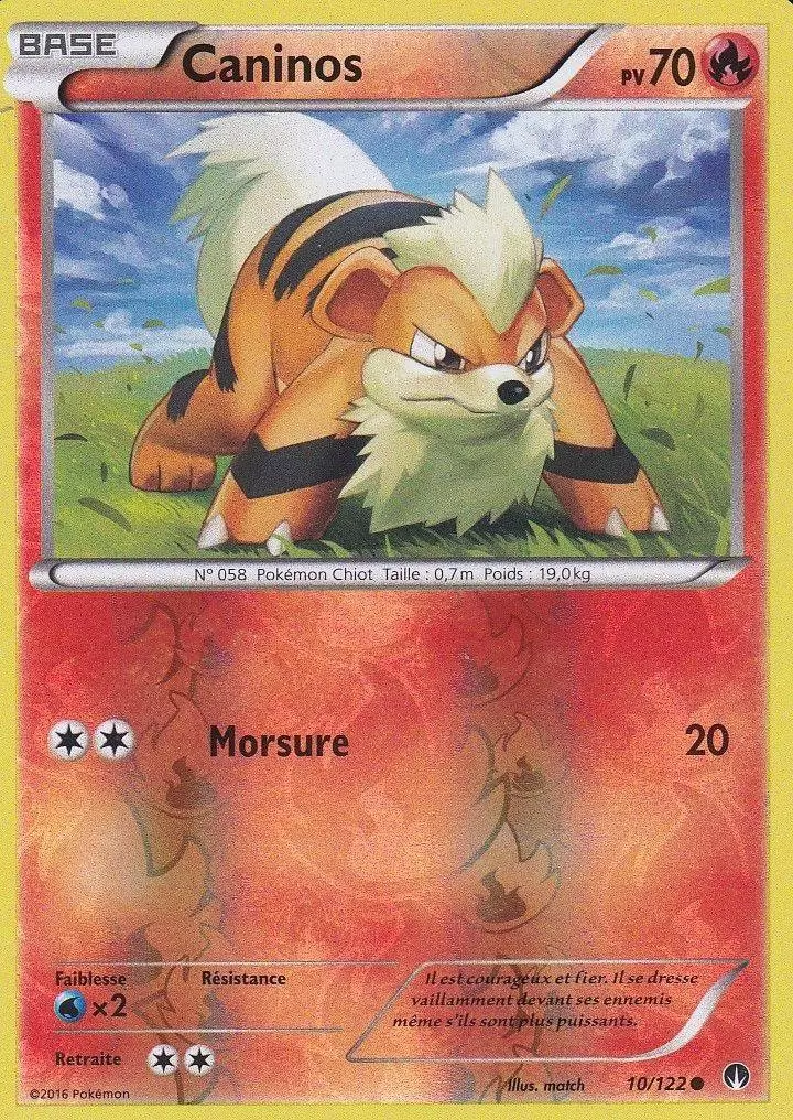 Pokémon XY Rupture Turbo - Caninos Reverse