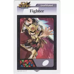 Fighter