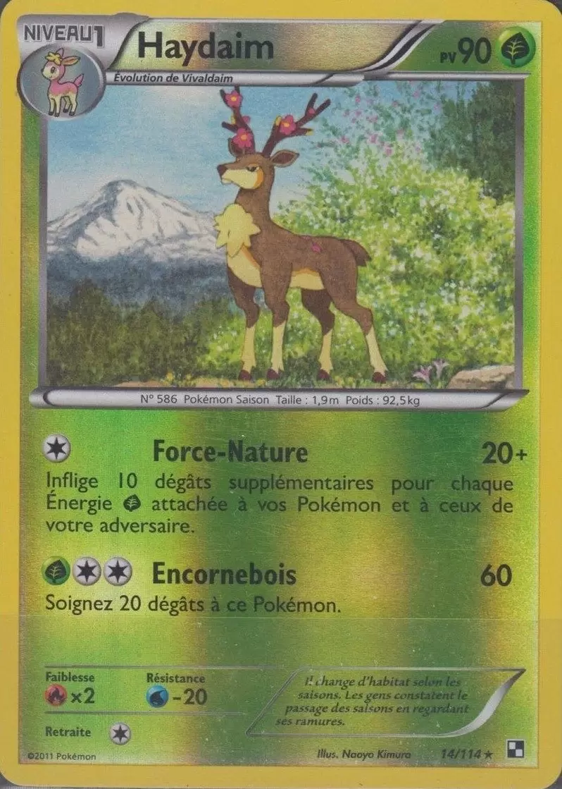 Pokémon Série Noir et Blanc - Haydaim Reverse