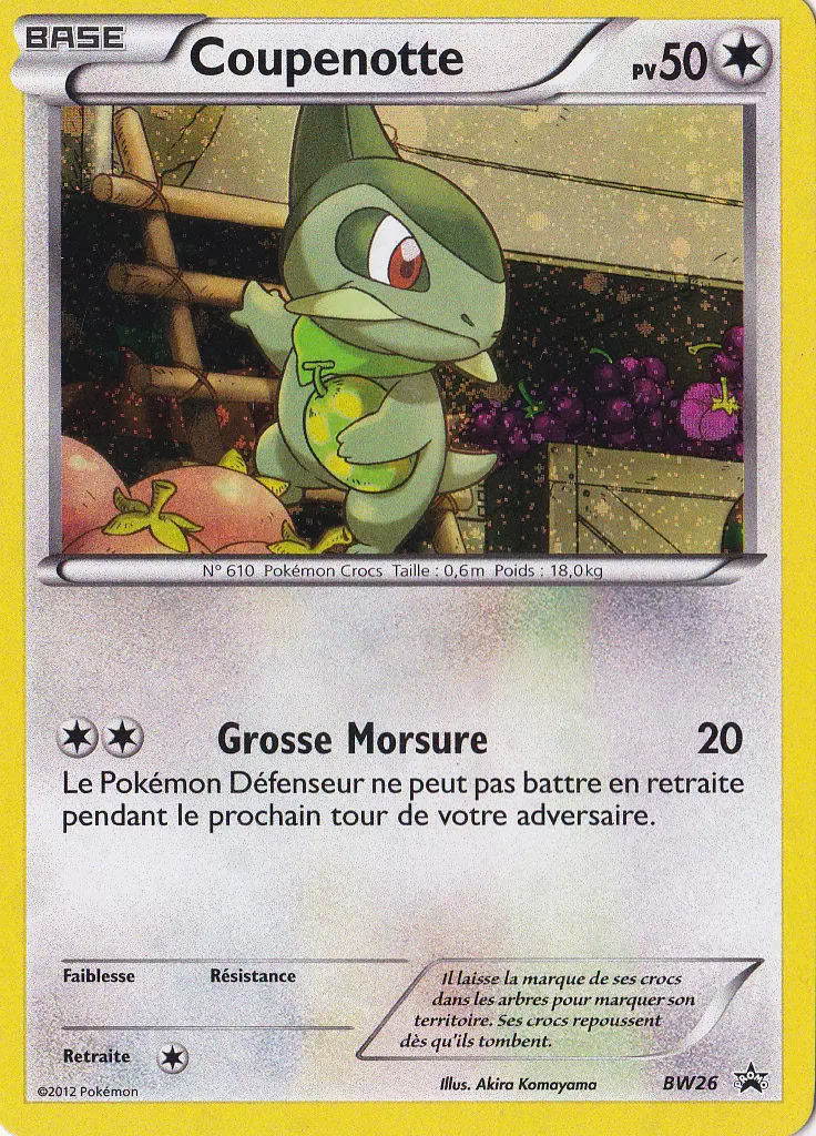 Cartes Promo Black Star Noir et Blanc - Coupenotte