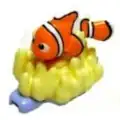 Abbiamo 1 acquirente(i) per Nemo