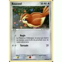 Roucool Holographique