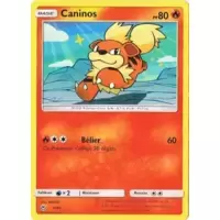 Caninos