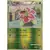 Meganium Reverse