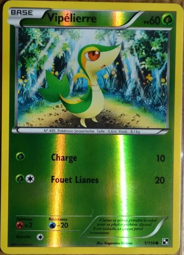 Pokémon Série Noir et Blanc - Vipélierre Reverse