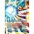 Dragon Ball Super Carte Promo FR - Son Goku // Son Goku SSB, frappe résolue