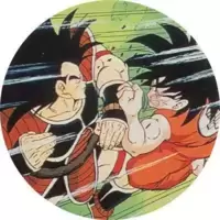 Raditz & San Goku