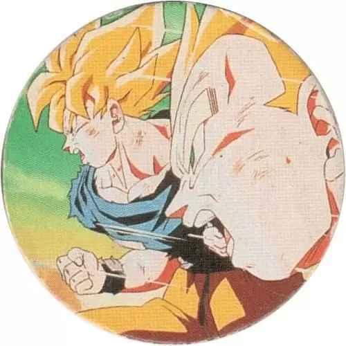 Dragon Ball Z Série 1 - San Goku & Vegeta