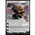 Ajani, sage conseiller