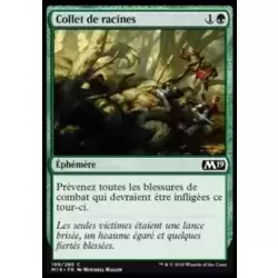 Collet de racines