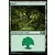 2019 Core Set (M19) - Forêt