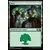 2019 Core Set (M19) - Forêt