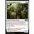 2019 Core Set (M19) - Frère de bande d\'Ajani