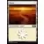 2019 Core Set (M19) - Plaine