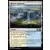 2019 Core Set (M19) - Rivière sinueuse