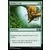 2019 Core Set (M19) - Tomber à pic