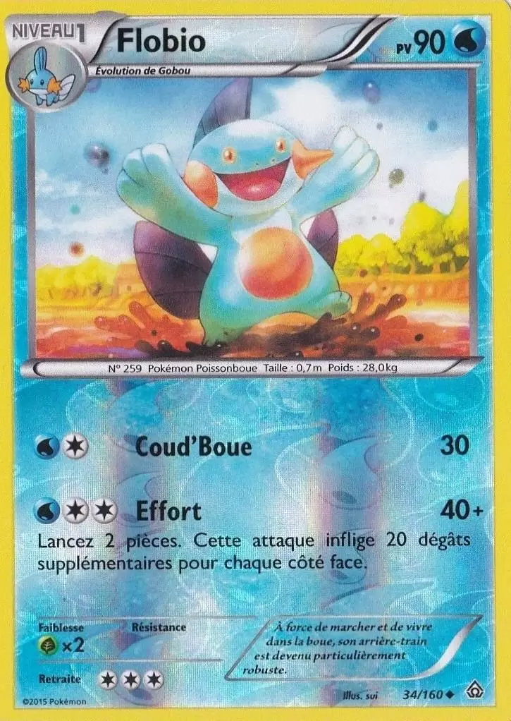 Pokémon XY Primo Choc - Flobio Reverse
