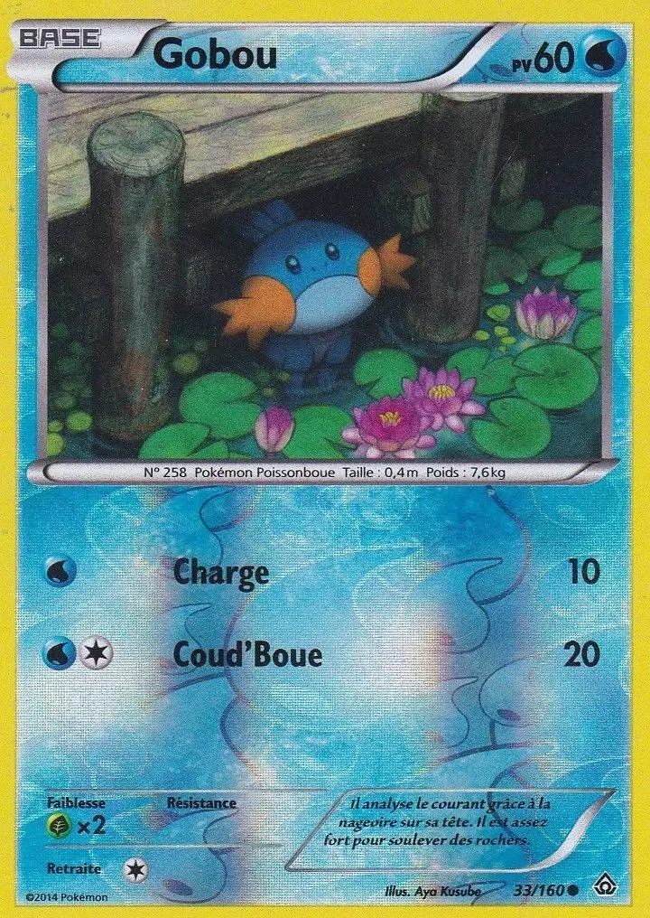 Pokémon XY Primo Choc - Gobou Reverse