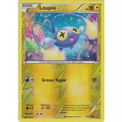 Loupio Reverse