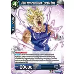 Prince destructeur Vegeta, Explosion finale