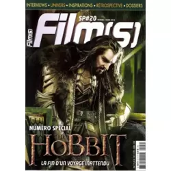 Le Hobbit : La fin d' un voyage inattendu