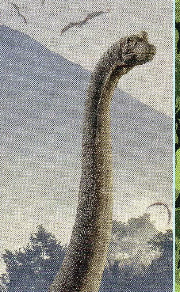 Jurassic World 2 : Fallen Kingdom - BRACHIOSAURE (Puzzle 02/04) CLASSIQUE