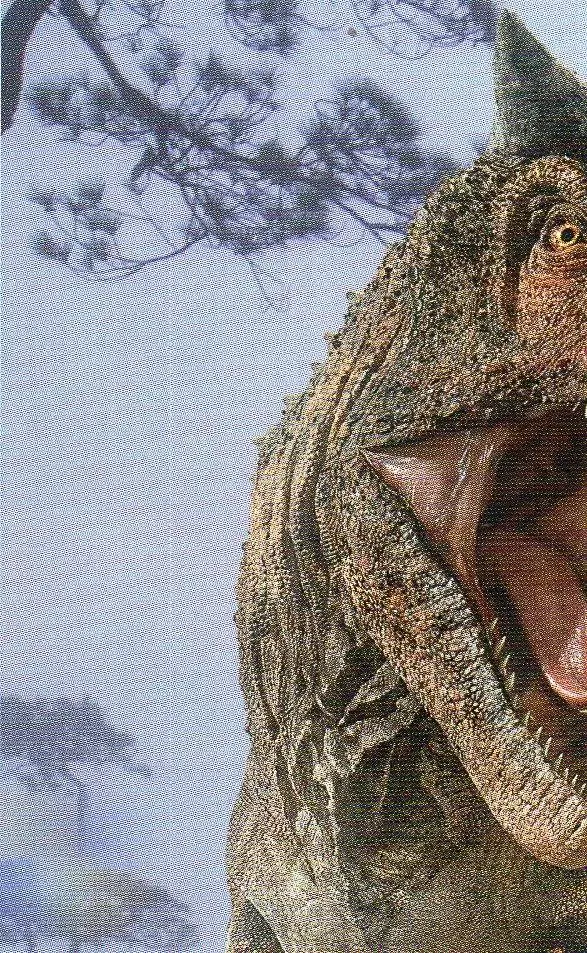 Jurassic World 2 : Fallen Kingdom - Image n°76