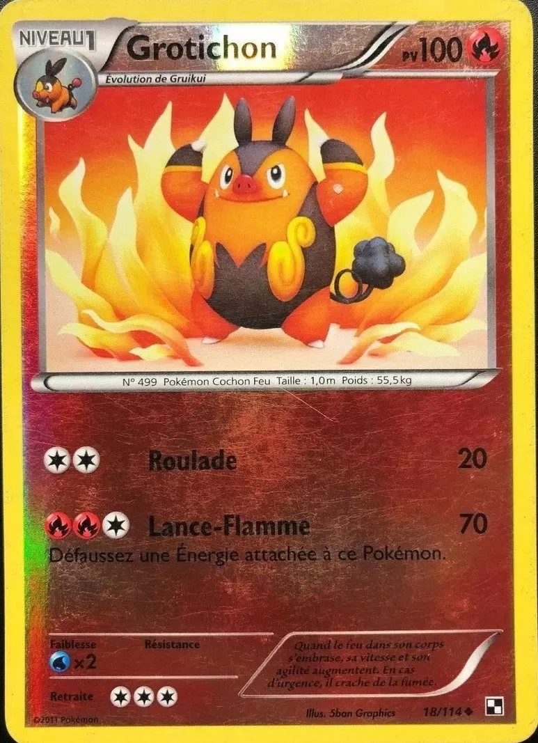 Pokémon Série Noir et Blanc - Grotichon Reverse