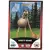 Le Collector Madagascar 3 (CORA / Match) - GLORIA ET MELMAN - Question 3