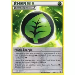 Phyto-Énergie Reverse