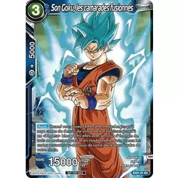 Son Goku, les camarades fusionnés