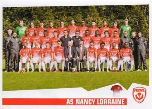 Foot 2013-2014 - Equipe - AS Nancy Lorraine