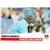 Fabrizio Ravanelli - Athletic Club Ajaccio