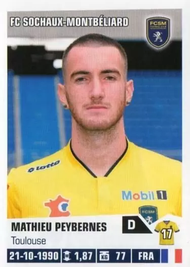 Foot 2013-2014 - Mathieu Peybernes - FC Sochaux-Montbeliard