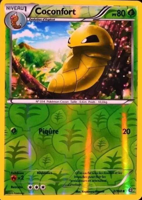 Pokémon XY Primo Choc - Coconfort Reverse
