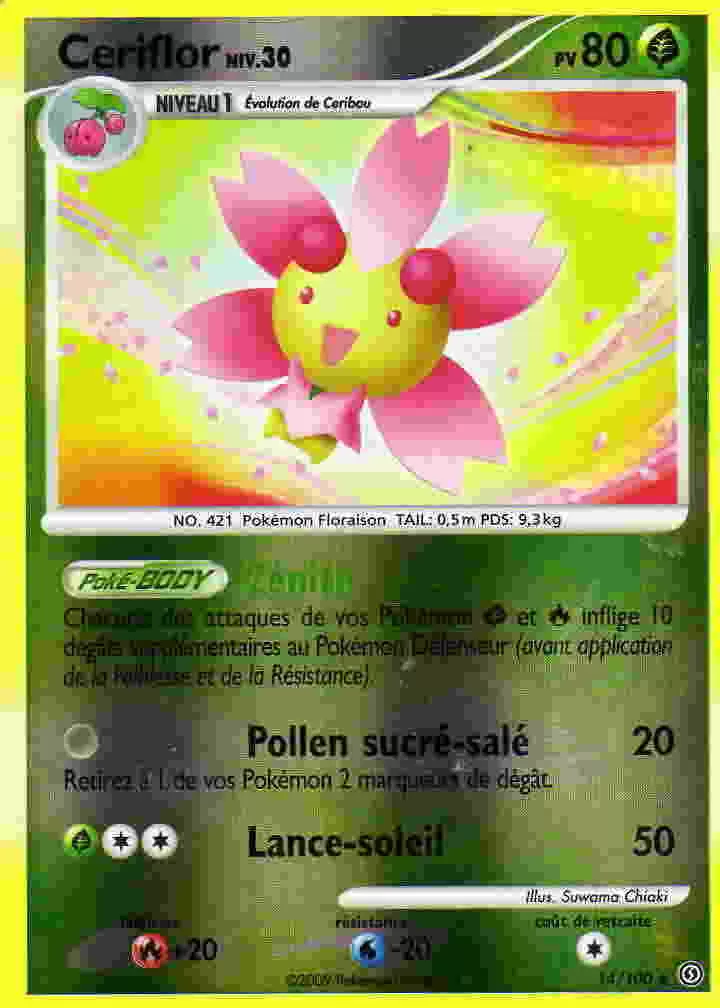 Tempête - Ceriflor Reverse