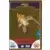Le Collector Madagascar 3 (CORA / Match) - MELMAN - Carte Or  - Codée