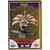 Le Collector Madagascar 3 (CORA / Match) - LE ROI JULIAN - Carte Or - Question 4