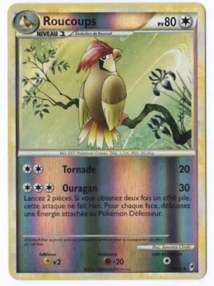 Pokémon L\'appel des Légendes - Roucoups Reverse