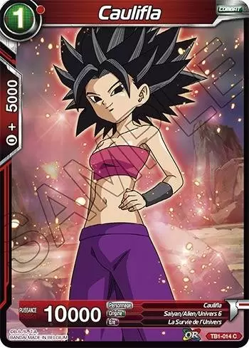 The Tournament of Power [TB1] - Caulifla