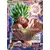 The Tournament of Power [TB1] - Kale / Kale, Lady de la Destruction