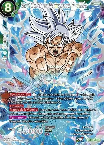 The Tournament of Power [TB1] - Son Goku, la Puissance éveillée