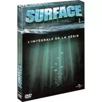 Surface Intégrale