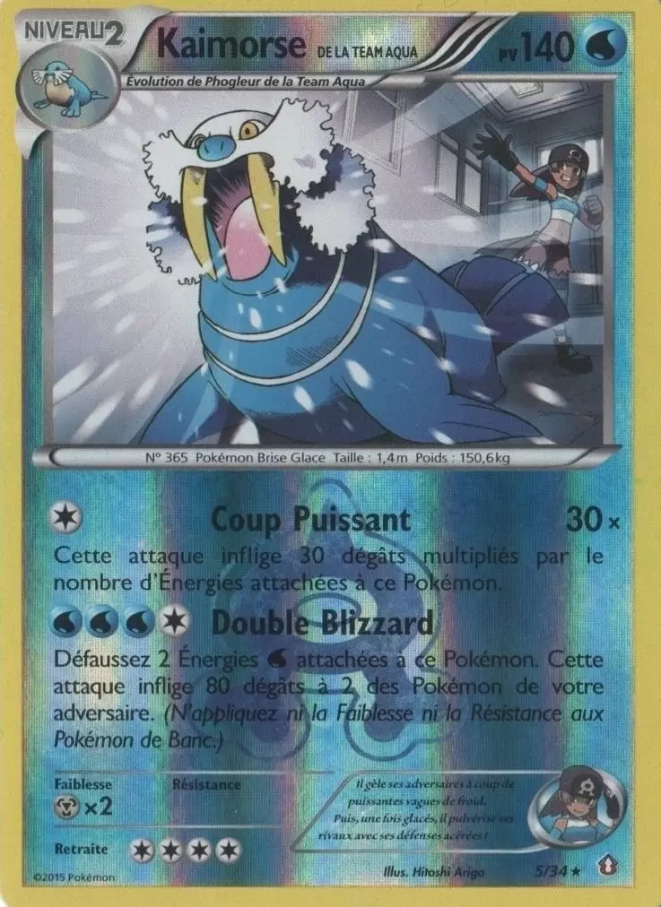 Pokémon XY Double Danger - Kaimorse de la Team Aqua Reverse