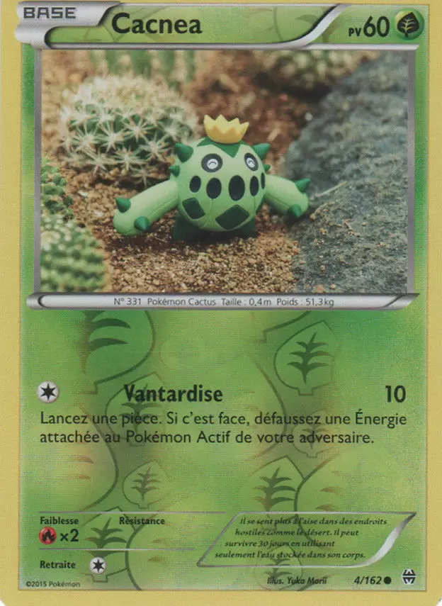 Pokémon XY Impulsion Turbo - Cacnea Reverse