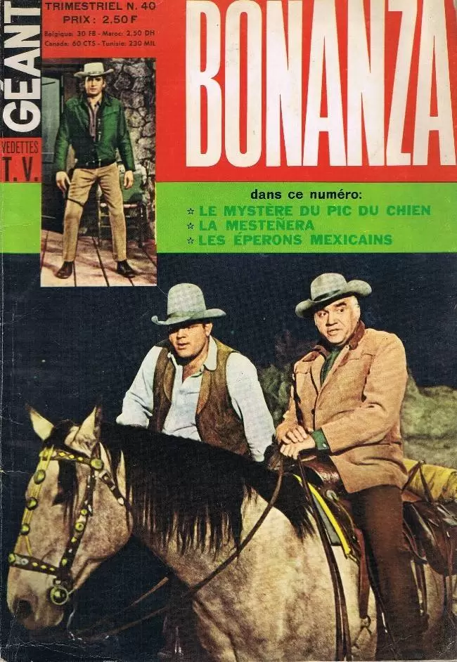 Bonanza - Le mystère du Pic du Chien