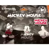 Booster Mickey Message