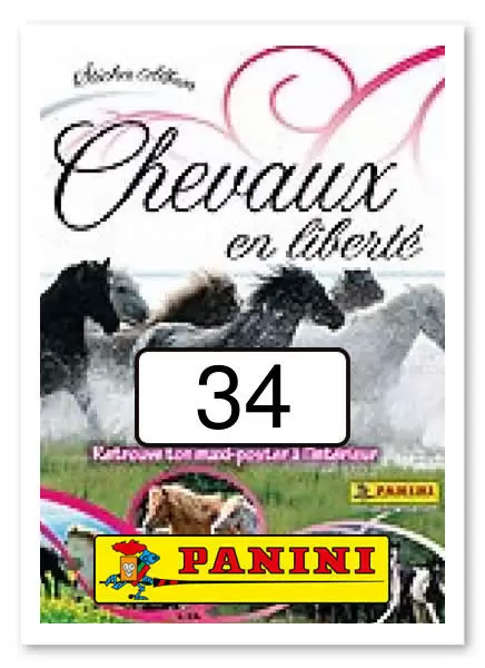 Chevaux en liberté - Sticker n°34