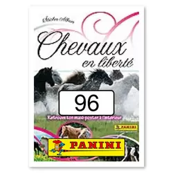 Sticker n°96
